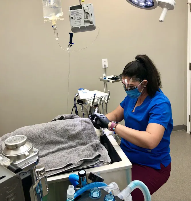 Fort Henry Animal Hospital 12