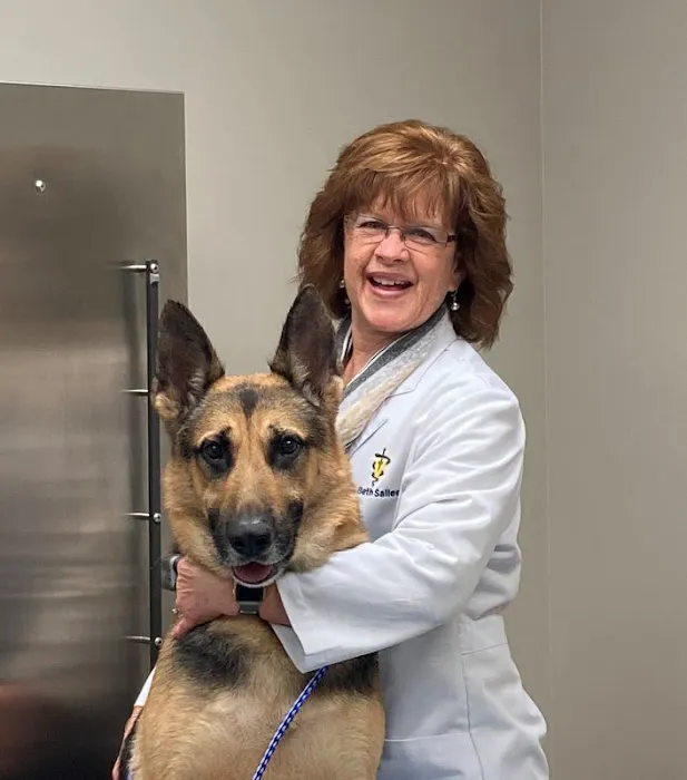 Fort Henry Animal Hospital 12