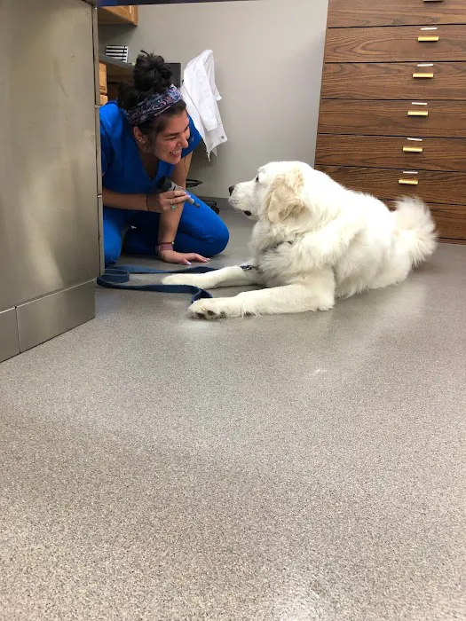 Fort Henry Animal Hospital 12