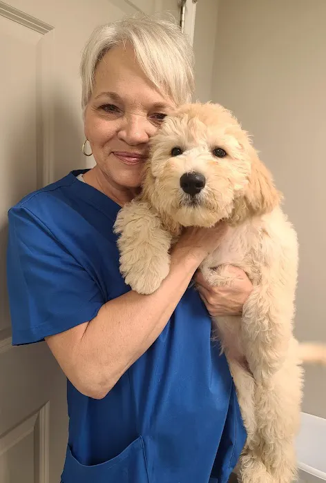 Fort Henry Animal Hospital 12