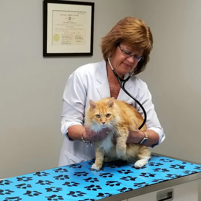 Fort Henry Animal Hospital 12