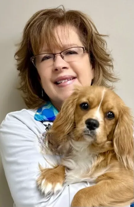 Fort Henry Animal Hospital 12