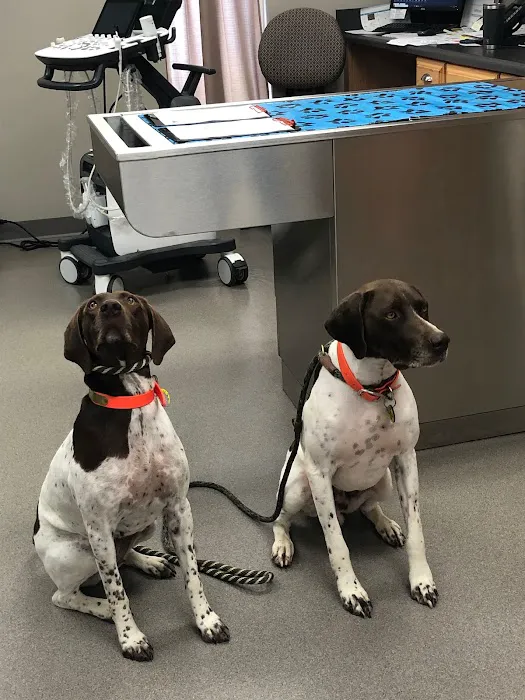 Fort Henry Animal Hospital 12