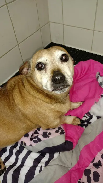 Andes-Straley Veterinary Hospital 12