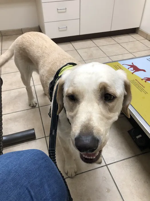 Andes-Straley Veterinary Hospital 12