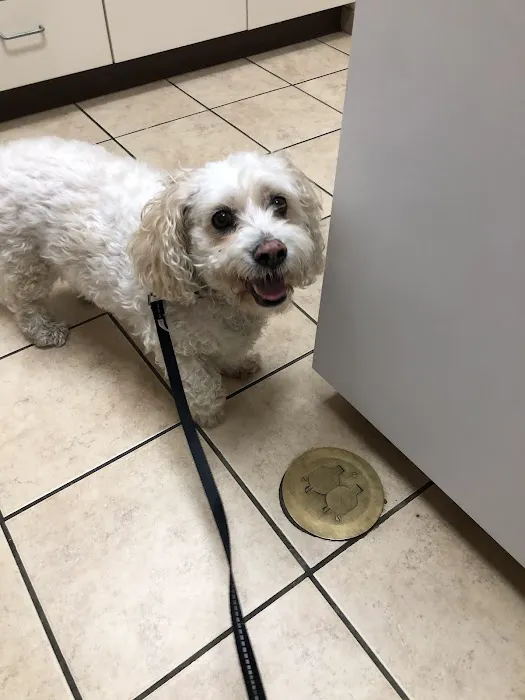 Andes-Straley Veterinary Hospital 12