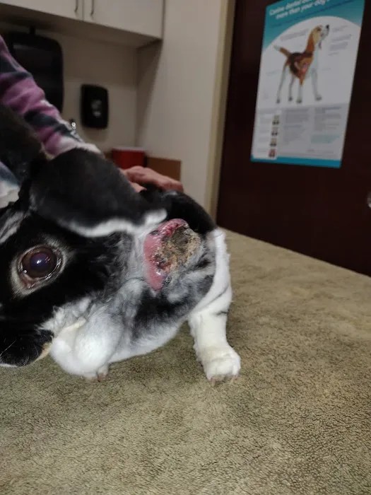 Andes-Straley Veterinary Hospital 12