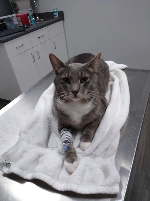 Ferguson Animal Hospital 9