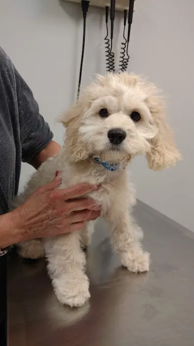 Ferguson Animal Hospital 1