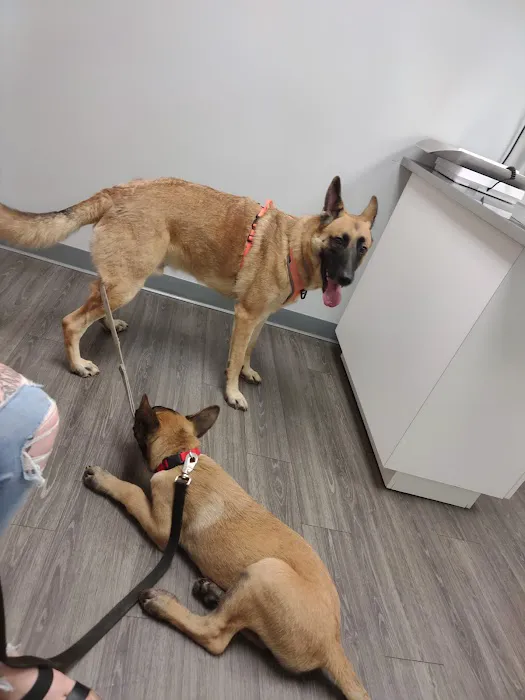 Ferguson Animal Hospital 6