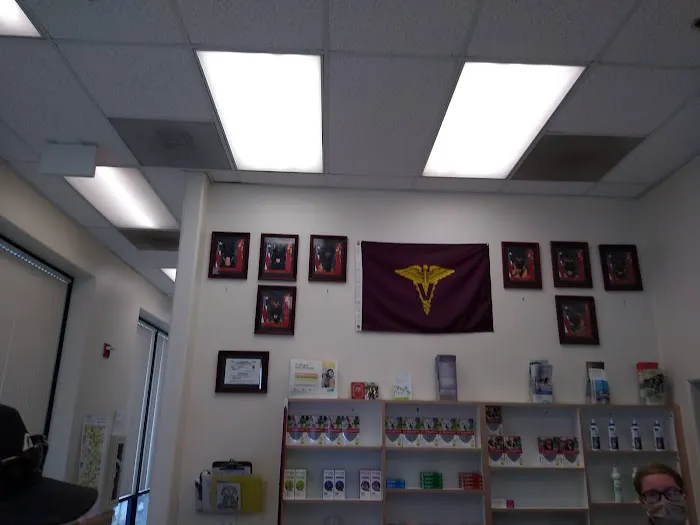 Camp Pendleton Veterinary Treatment Facility (VTF) 4