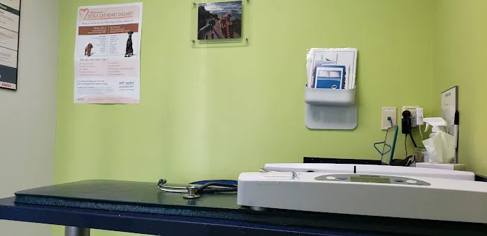 Sandy Paws Animal Clinic 12
