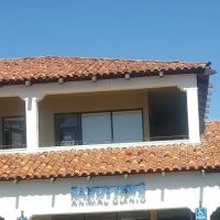 Sandy Paws Animal Clinic ico