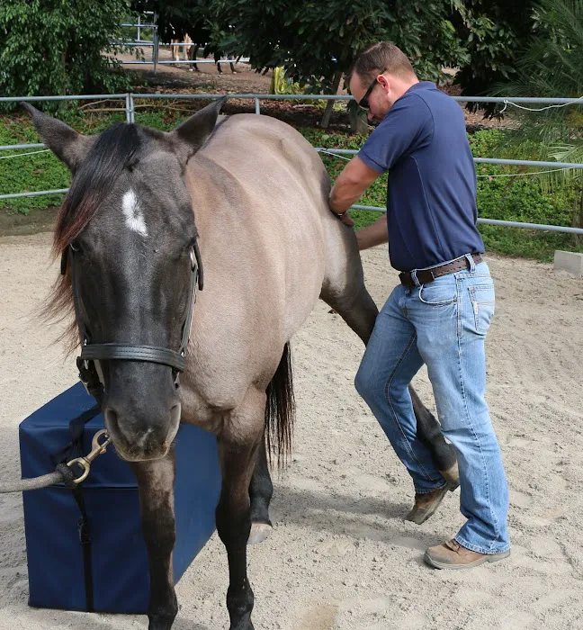 West Coast Equine Medicine 9