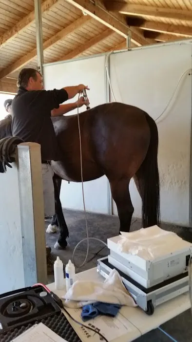 West Coast Equine Medicine 4
