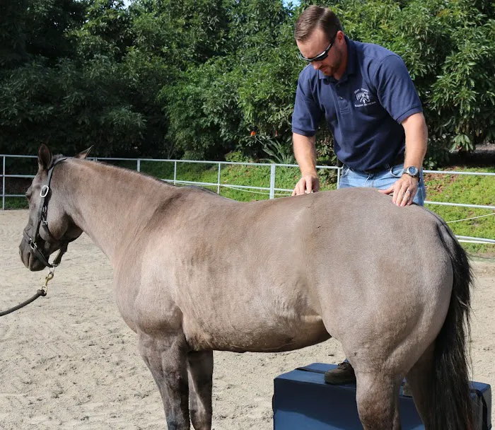 West Coast Equine Medicine 6