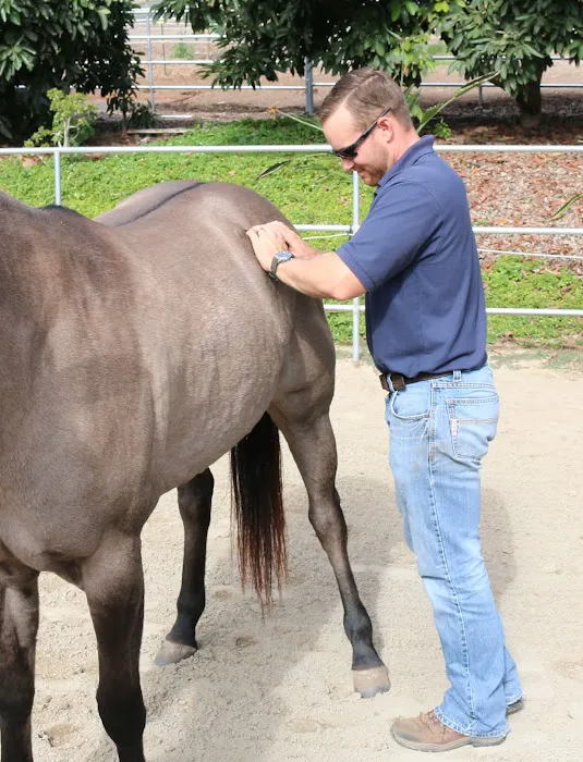 West Coast Equine Medicine 5
