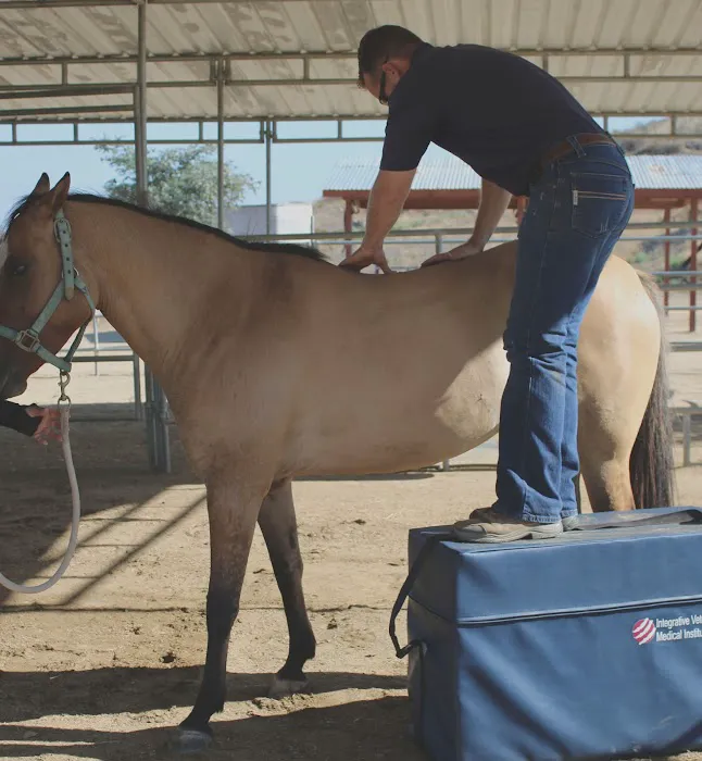 West Coast Equine Medicine 7