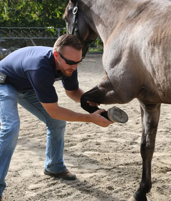 West Coast Equine Medicine 8
