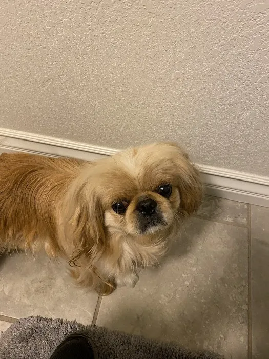 Banfield Pet Hospital 5