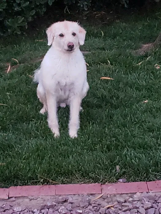 Banfield Pet Hospital 3