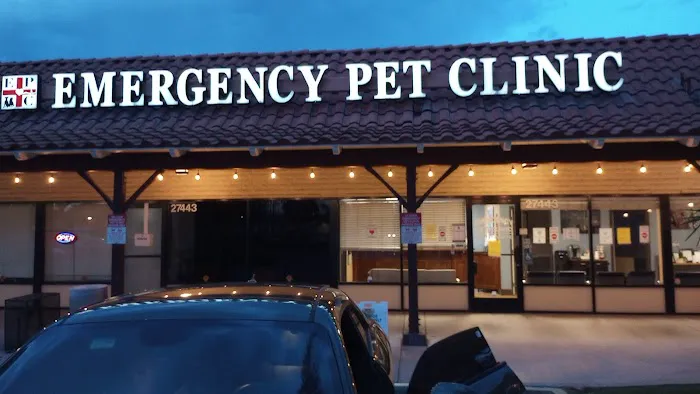 EPIC Vets 3