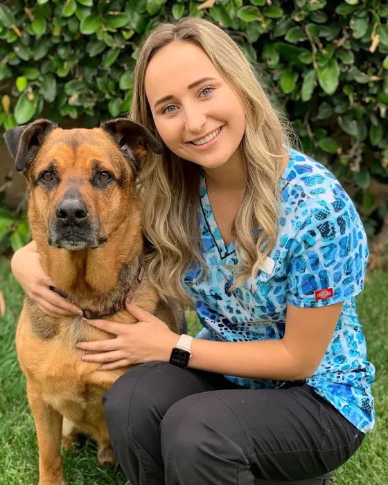 Care Animal Hospital 8