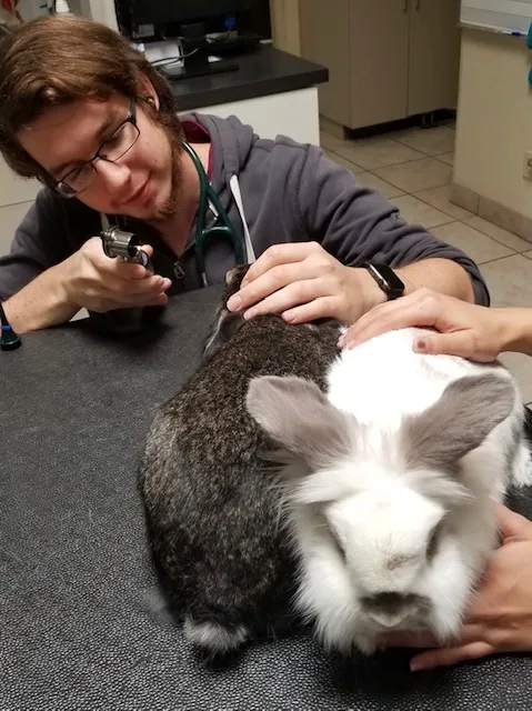 Care Animal Hospital 6