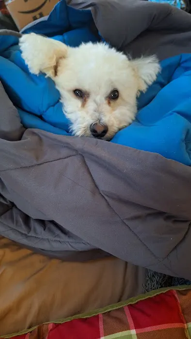 Banfield Pet Hospital 2