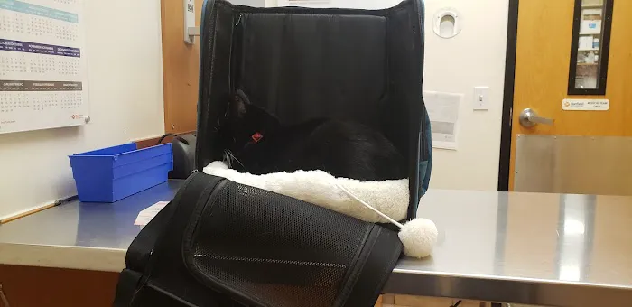 Banfield Pet Hospital 1