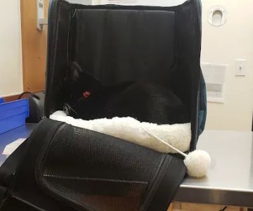 Banfield Pet Hospital