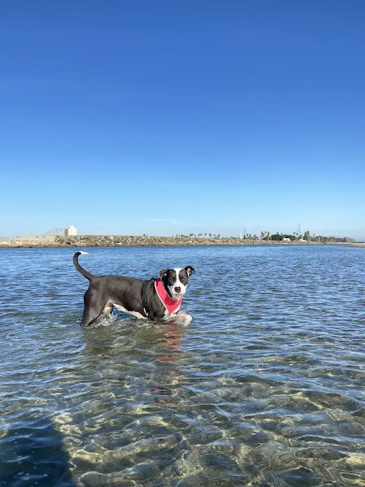 Temecula Creek Veterinary 8