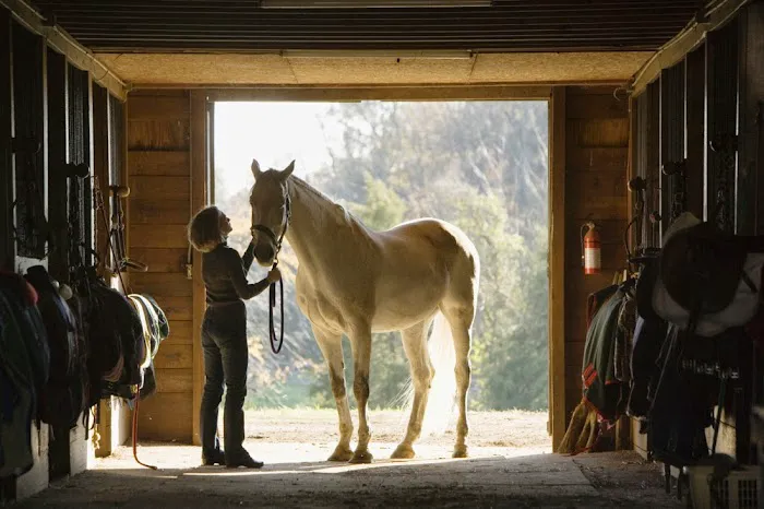 Temecula Creek Veterinary 5