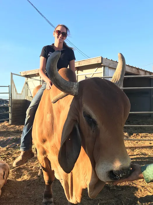 Temecula Creek Veterinary 9