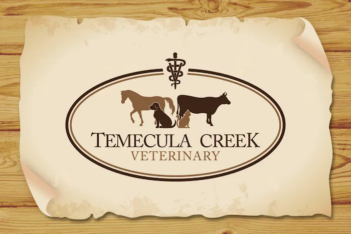 Temecula Creek Veterinary 10