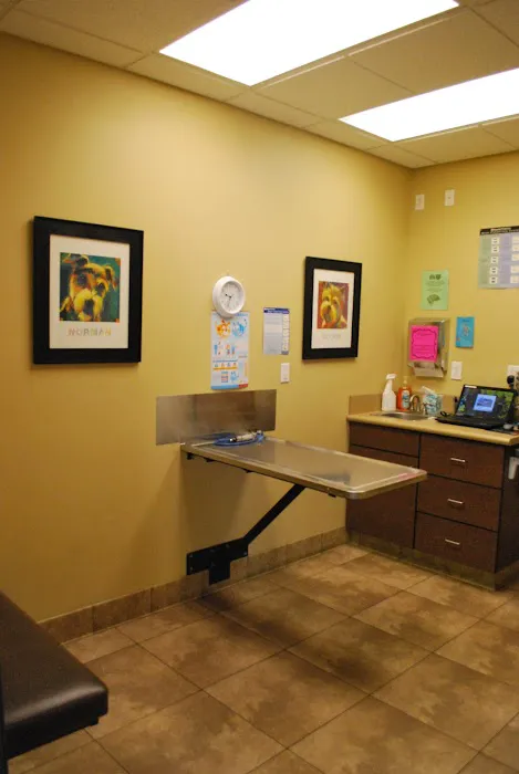 South Temecula Veterinary Hospital 5