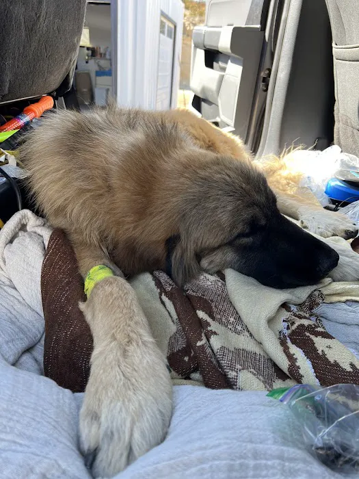 South Temecula Veterinary Hospital 10