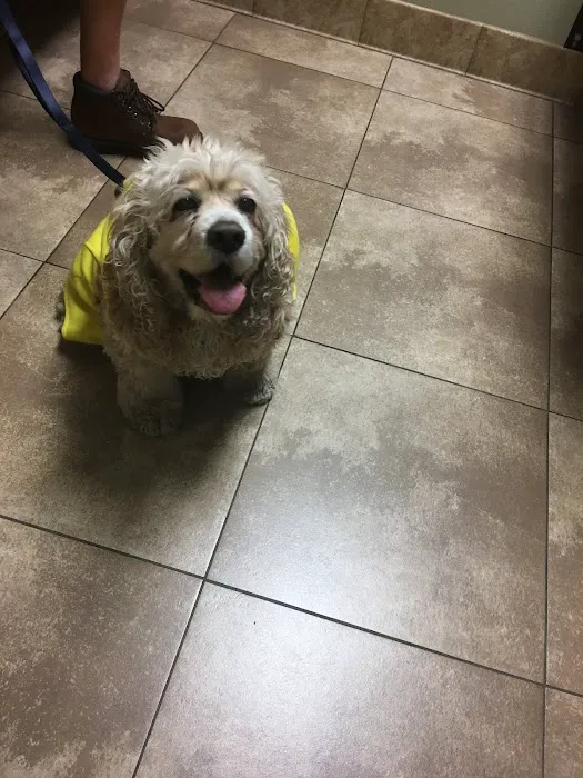 South Temecula Veterinary Hospital 4