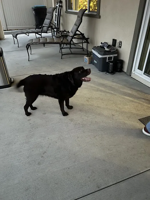 Butterfield Animal Hospital 7