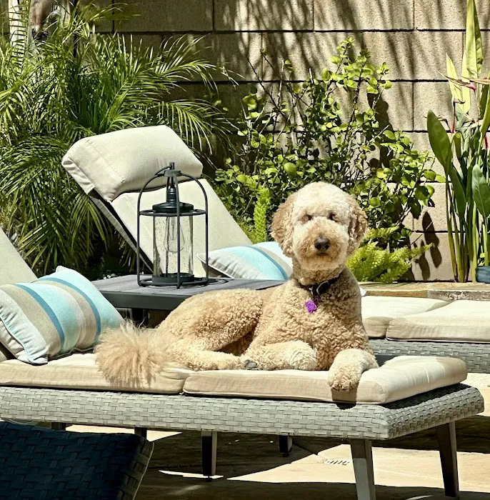 Butterfield Animal Hospital 8