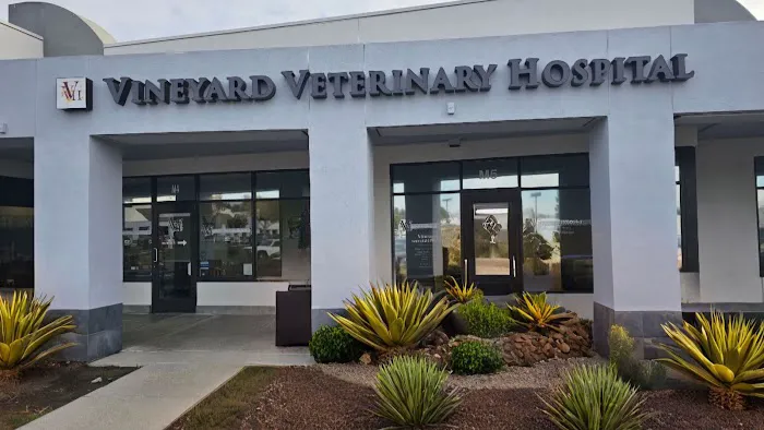 Vineyard Veterinary Hospital 1