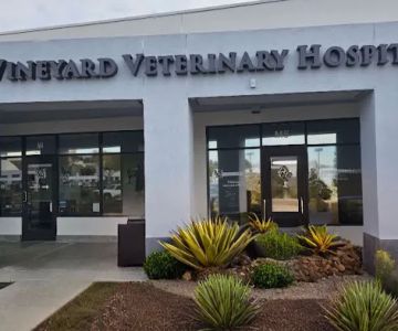 Vineyard Veterinary Hospital