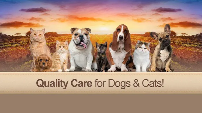 Vineyard Veterinary Hospital 3