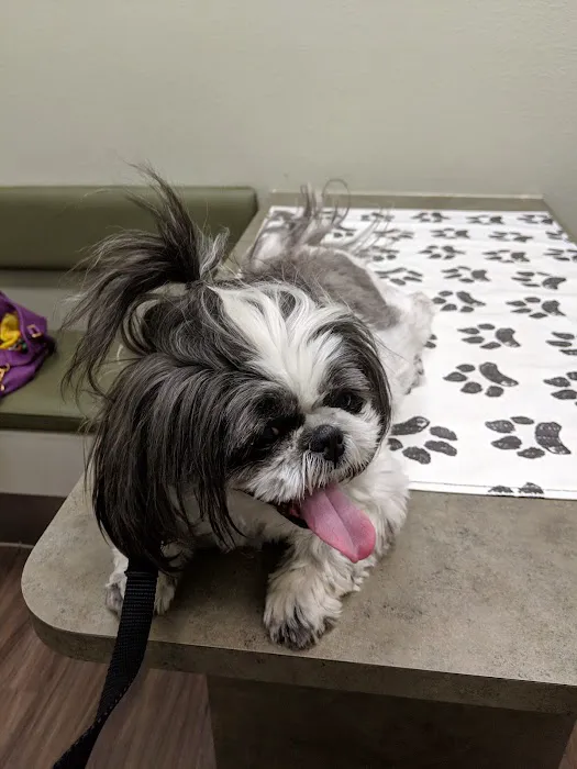 Vineyard Veterinary Hospital 7
