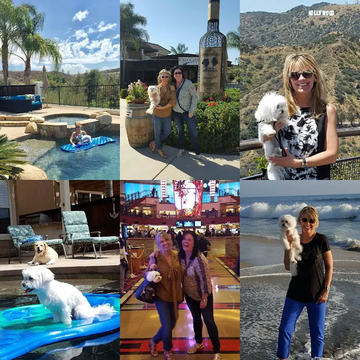 Animal Hospital of Temecula 3