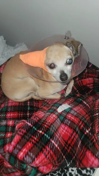 PetSmart Veterinary Services - Norwalk 6