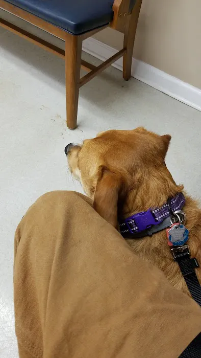Broad River Animal Hospital 12