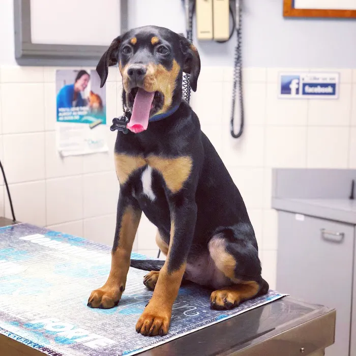 Broad River Animal Hospital 12