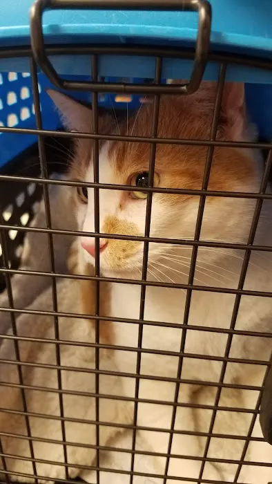 Broad River Animal Hospital 12