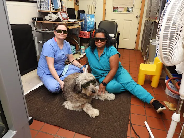 Norwalk Animal Hospital 12